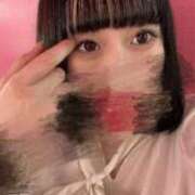 ヒメ日記 2025/11/25 01:34 投稿 さくら ふわふわコレクション