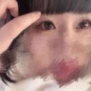 さくら 🐶🐾💨 ふわふわコレクション