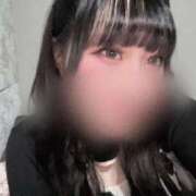 ヒメ日記 2025/12/31 22:54 投稿 さくら ふわふわコレクション