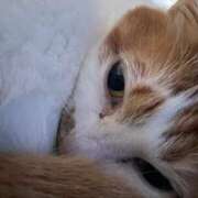 ヒメ日記 2025/12/24 16:23 投稿 るな 福盛