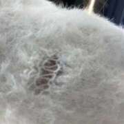 ヒメ日記 2025/12/29 13:46 投稿 るな 福盛