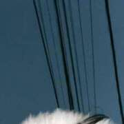 ヒメ日記 2026/03/05 18:33 投稿 るな 福盛