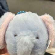 ヒメ日記 2026/03/12 18:53 投稿 るな 福盛