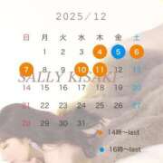 ヒメ日記 2025/12/04 12:25 投稿 希咲サリー コウテイ