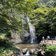 ヒメ日記 2026/03/12 12:47 投稿 きいろ 熟女家 堺東店