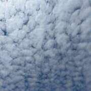 ヒメ日記 2026/04/15 13:57 投稿 きいろ 熟女家 堺東店