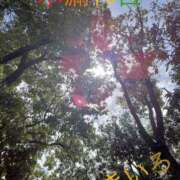 ヒメ日記 2026/04/18 12:17 投稿 きいろ 熟女家 堺東店