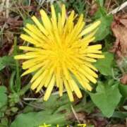 きいろ 雨上がり 熟女家 堺東店