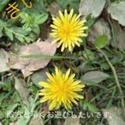 ヒメ日記 2026/05/10 15:27 投稿 きいろ 熟女家 堺東店