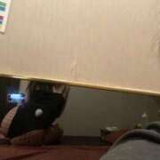 ヒメ日記 2025/12/22 17:07 投稿 さき ドMなバニーちゃん すすきの店