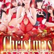 ヒメ日記 2025/12/23 08:45 投稿 さき ドMなバニーちゃん すすきの店