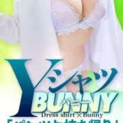 ヒメ日記 2026/03/11 09:05 投稿 さき ドMなバニーちゃん すすきの店