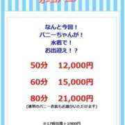ヒメ日記 2026/06/09 09:09 投稿 さき ドMなバニーちゃん すすきの店