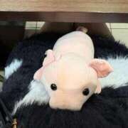 ヒメ日記 2026/02/05 21:52 投稿 佐々木 むぎ 夜這い＆イメクラ妄想する女学生たち谷九校