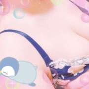 ヒメ日記 2025/12/01 14:15 投稿 すい 多恋人倶楽部（山口）