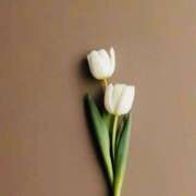 ヒメ日記 2025/12/14 17:20 投稿 白羽優衣 お姉さんCLUB