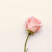 ヒメ日記 2025/12/15 23:03 投稿 白羽優衣 お姉さんCLUB