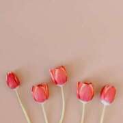 ヒメ日記 2025/12/27 00:33 投稿 白羽優衣 お姉さんCLUB