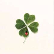 ヒメ日記 2026/02/21 12:19 投稿 白羽優衣 お姉さんCLUB