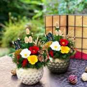 ヒメ日記 2026/01/03 10:05 投稿 つむぎ 熟女家 堺東店