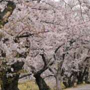 ヒメ日記 2026/04/11 09:57 投稿 つむぎ 熟女家 堺東店