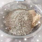 白川 ちい 実は… La elf（ラ・エルフ）