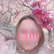 ヒメ日記 2026/02/14 14:33 投稿 白川 ちい La elf（ラ・エルフ）