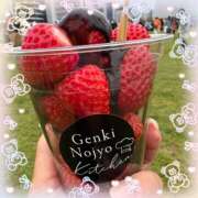 白川 ちい 推し活♡ La elf（ラ・エルフ）