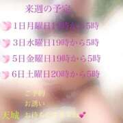 ヒメ日記 2025/11/30 17:35 投稿 天城（あまぎ） 熟女の風俗最終章 大宮店