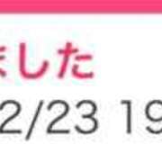 ヒメ日記 2025/12/23 13:34 投稿 ぼたん 桃李（とうり）