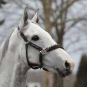 ふぶき 2026年 熟女の風俗最終章 新宿店