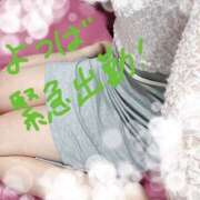 ヒメ日記 2026/01/18 10:56 投稿 よつば バイオレンス