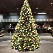 ヒメ日記 2025/12/25 15:49 投稿 瑞希/みずき 五反田アネージュ（ユメオト）