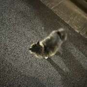 ヒメ日記 2026/02/02 19:00 投稿 瑞希/みずき 五反田アネージュ（ユメオト）