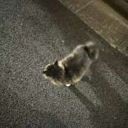 ヒメ日記 2026/03/15 13:39 投稿 瑞希/みずき 五反田アネージュ（ユメオト）