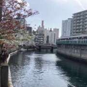 ヒメ日記 2026/03/17 19:13 投稿 瑞希/みずき 五反田アネージュ（ユメオト）