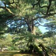 ゆうこ 🟩 THE ESUTE HOUSE 柴田