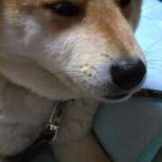 ヒメ日記 2026/02/08 00:06 投稿 ゆうこ THE ESUTE HOUSE 柴田