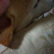 ヒメ日記 2026/02/08 02:26 投稿 ゆうこ THE ESUTE HOUSE 柴田