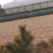 ヒメ日記 2026/02/09 01:46 投稿 ゆうこ THE ESUTE HOUSE 柴田