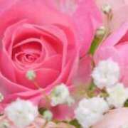 ヒメ日記 2025/12/02 12:24 投稿 くみ 完熟ばなな梅田