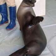 ヒメ日記 2026/02/22 10:12 投稿 九条いおり マダムと紳士