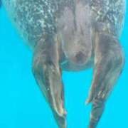 ヒメ日記 2026/03/04 18:18 投稿 九条いおり マダムと紳士