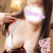 ヒメ日記 2026/01/19 10:14 投稿 ゆずは 沖縄ちゃんこ那覇店