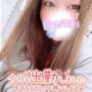 ヒメ日記 2026/04/12 10:14 投稿 ゆずは 沖縄ちゃんこ那覇店