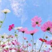 ひかり 明日❣️ 美妻川越～熟女との時間～