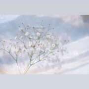 ちゃちゃまる きみにありがとう buzz-B