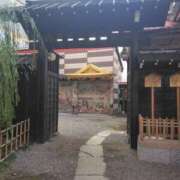 ヒメ日記 2025/12/01 11:48 投稿 彩奈(あやな) 相模原人妻城