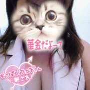 ヒメ日記 2025/12/12 21:48 投稿 彩奈(あやな) 相模原人妻城