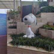 ヒメ日記 2026/01/28 17:33 投稿 彩奈(あやな) 相模原人妻城